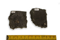 F 00852
<br/>
<br/>
<em></em>